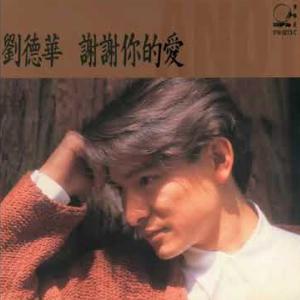 Andy Lau (劉德華) - Mei You Ni Mei You Wo (沒有你沒有我) - Line Dance Musique