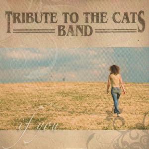 Tribute To The Cats Band - If You - Line Dance Music