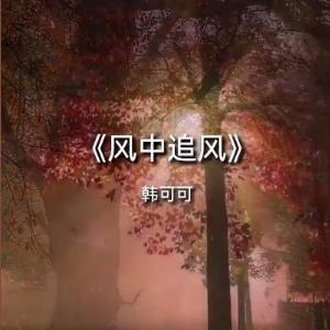 Han Ke Ke (韓可可) - Feng Zhong Zhui Feng (風中追風) (女聲版) - Line Dance Music