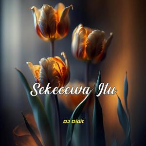 Angga Candra - Sekecewa Itu (DJ Diqta Remix) - 排舞 音乐