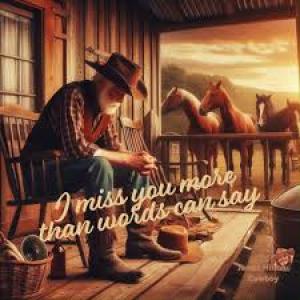 James Hilton-Cowboy - I miss you more than words can say - Line Dance Music