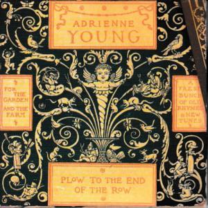 Adrienne Young - Spotted Pony - Line Dance Music
