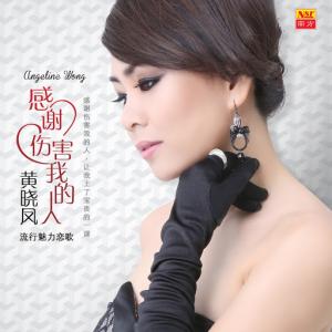 Angeline Wong (黃曉鳳) - Ai De Qi Xian (爱的期限) - Line Dance Music